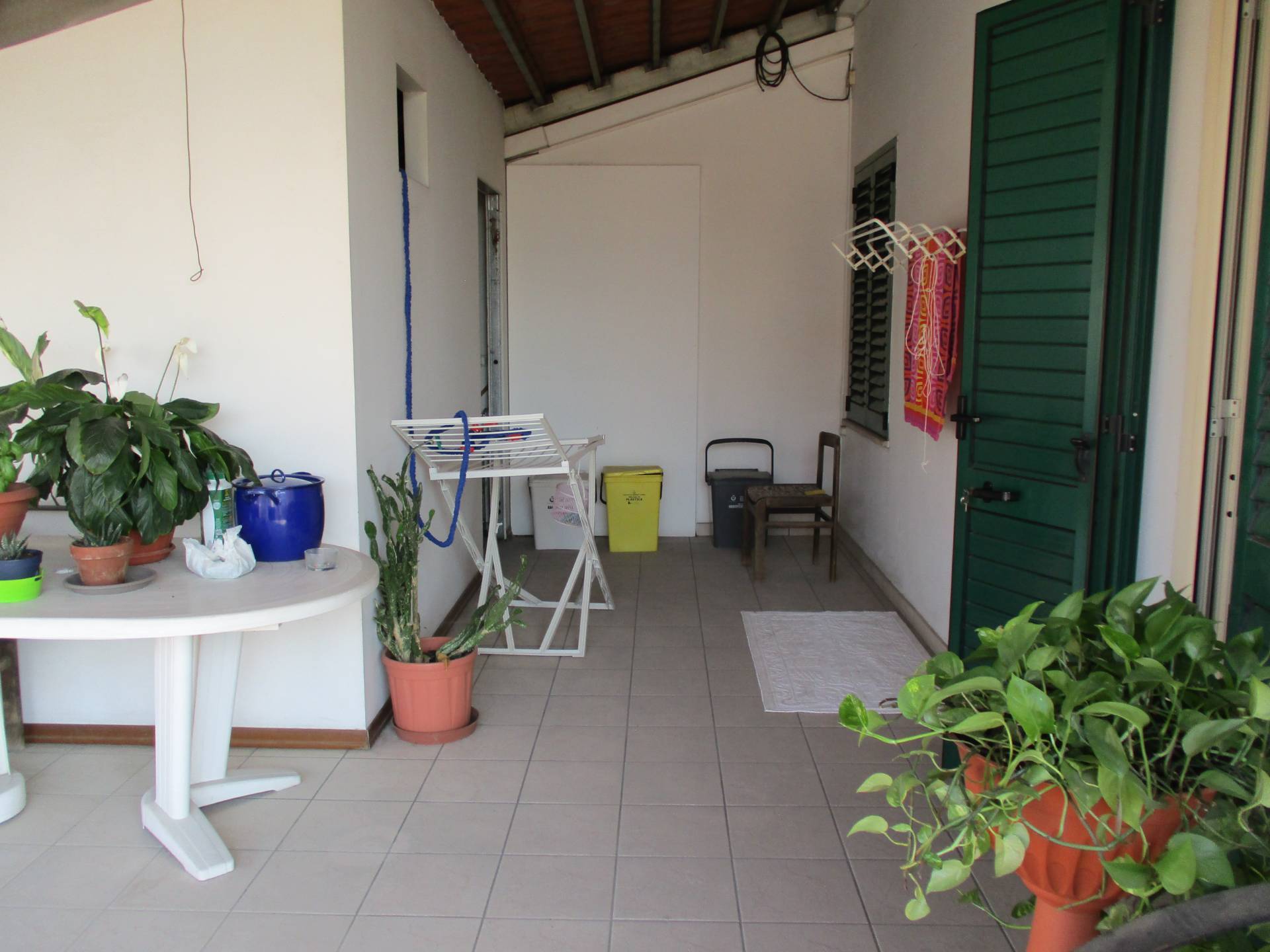 Villette a schiera in vendita a Morro d'Oro, Pagliare