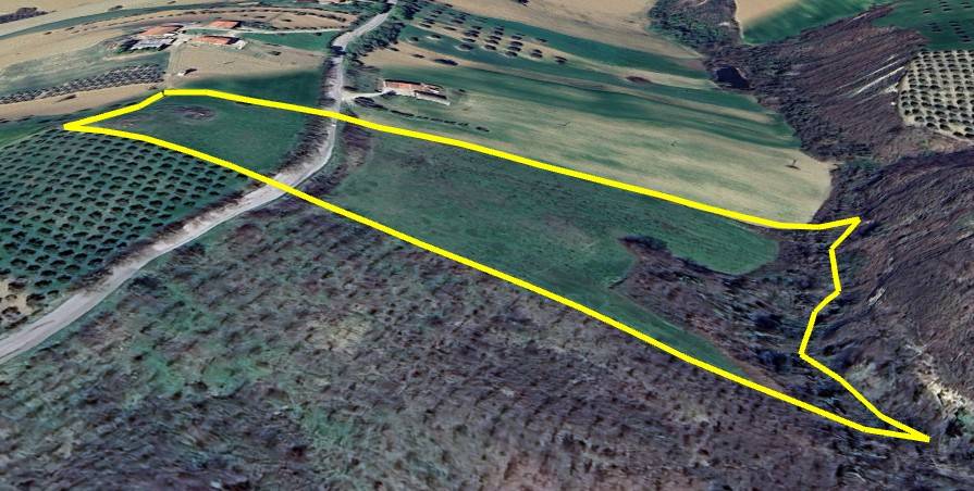 Terreno Agricolo in vendita a Bellante, San Mauro