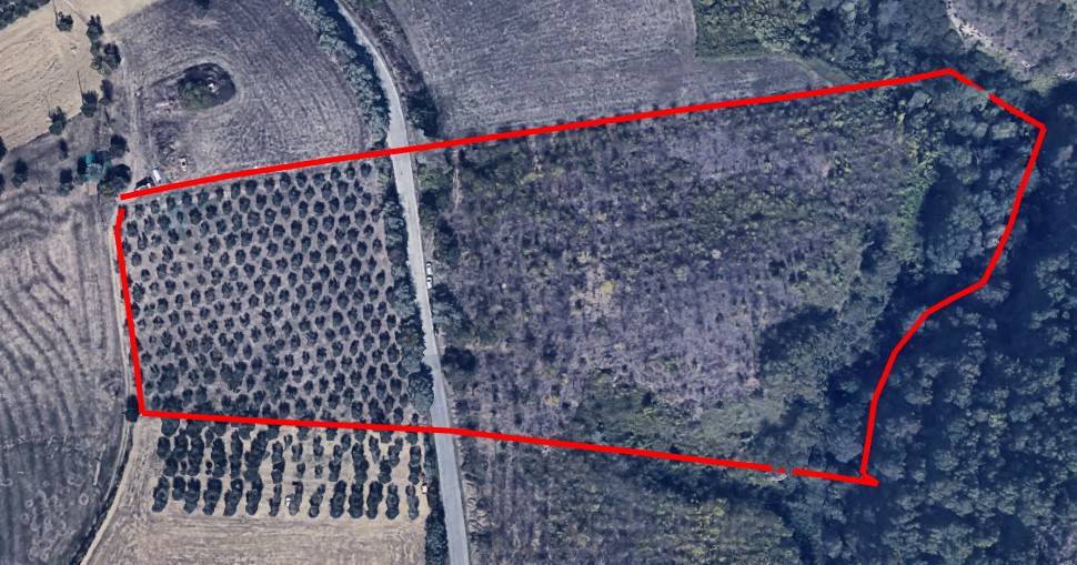 Terreno Agricolo in vendita a Bellante, San Mauro