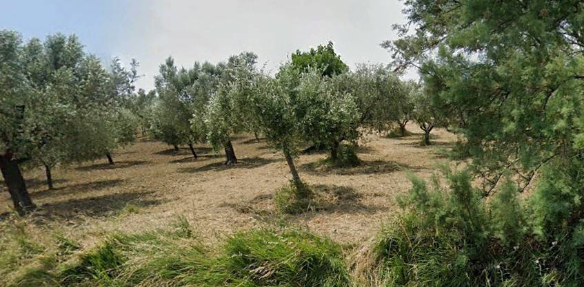 Terreno Agricolo in vendita a Bellante, San Mauro