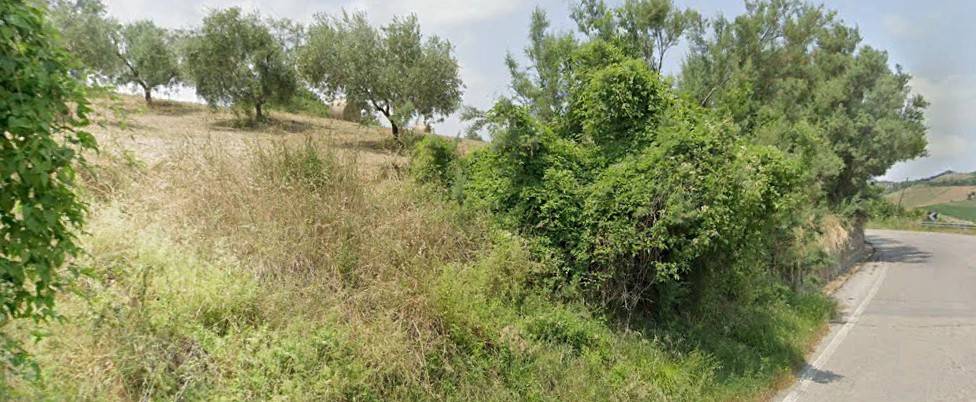 Terreno Agricolo in vendita a Bellante, San Mauro