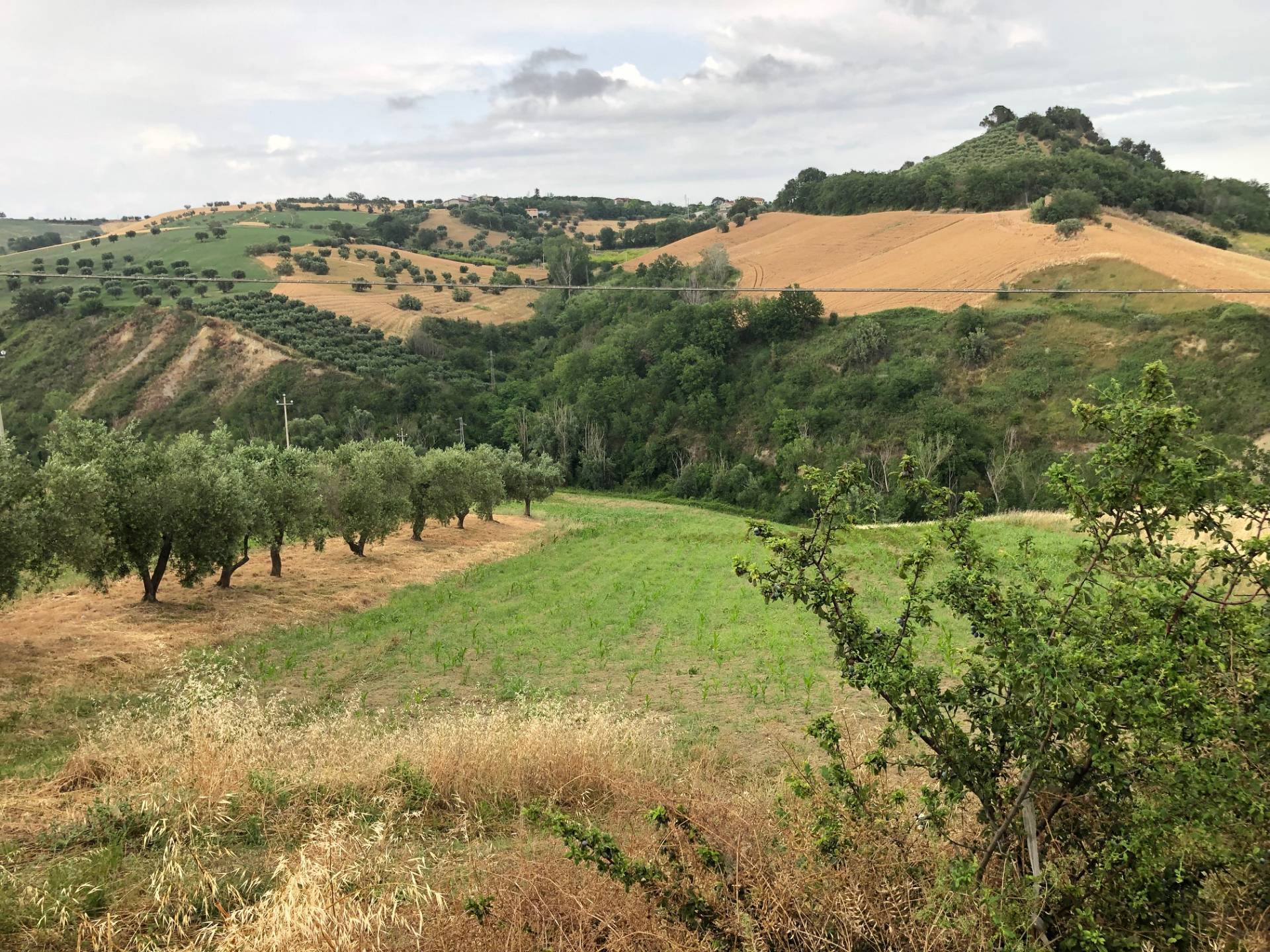Terreno Agricolo in vendita a Bellante, San Mauro