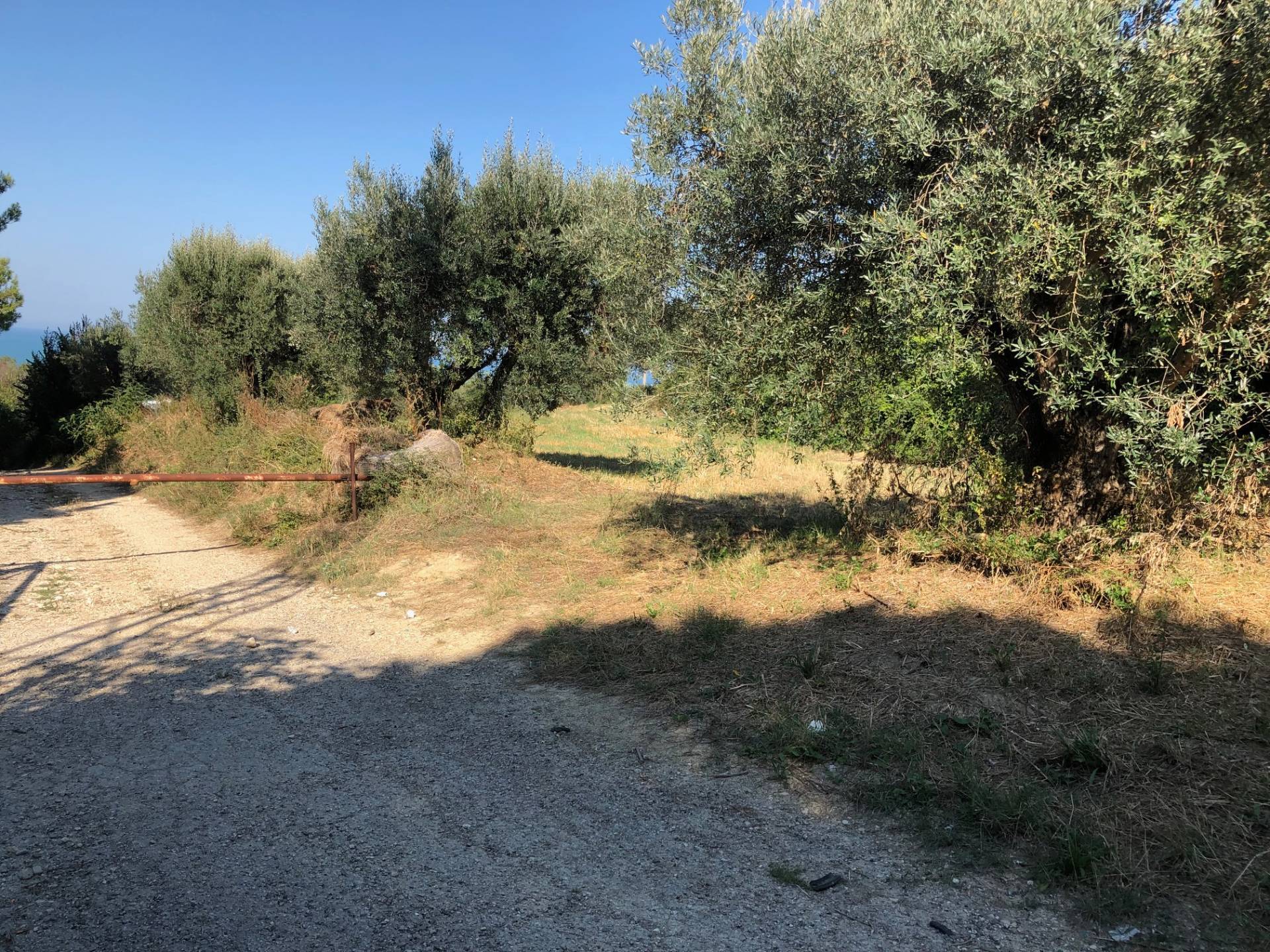 Terreno residenziale in vendita a Mosciano Sant'Angelo, Maggi