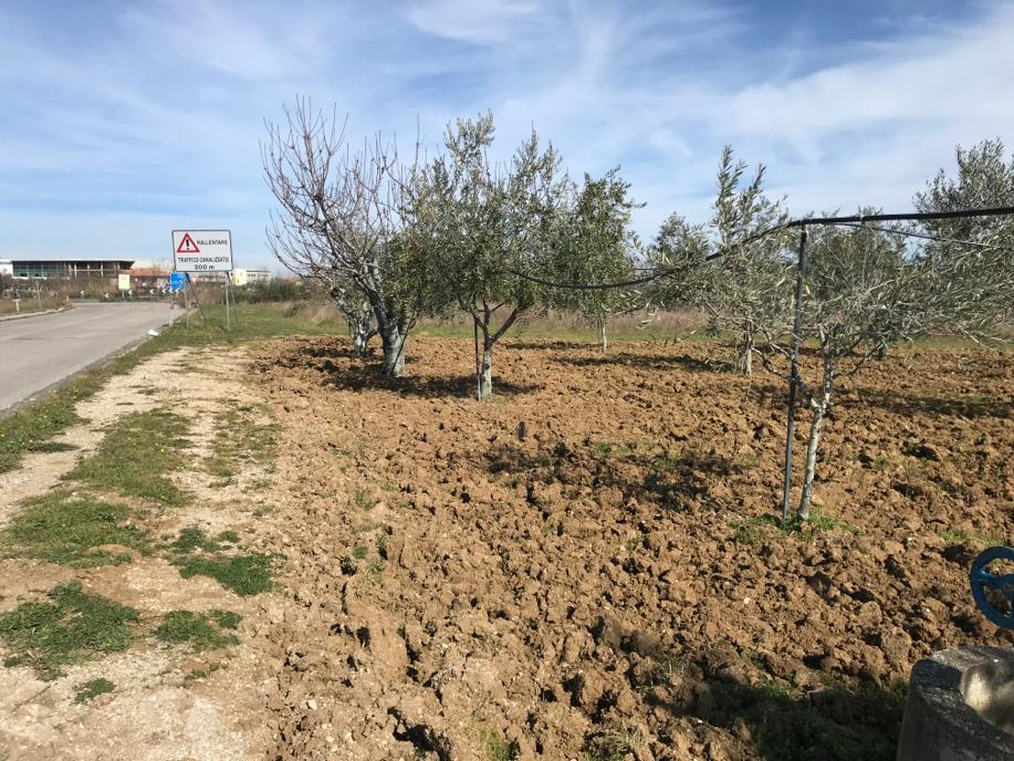 Terreno Agricolo in vendita a Mosciano Sant'Angelo, Ripoli