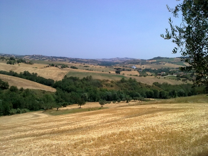 Rustico in vendita a Bellante, Penna Alta
