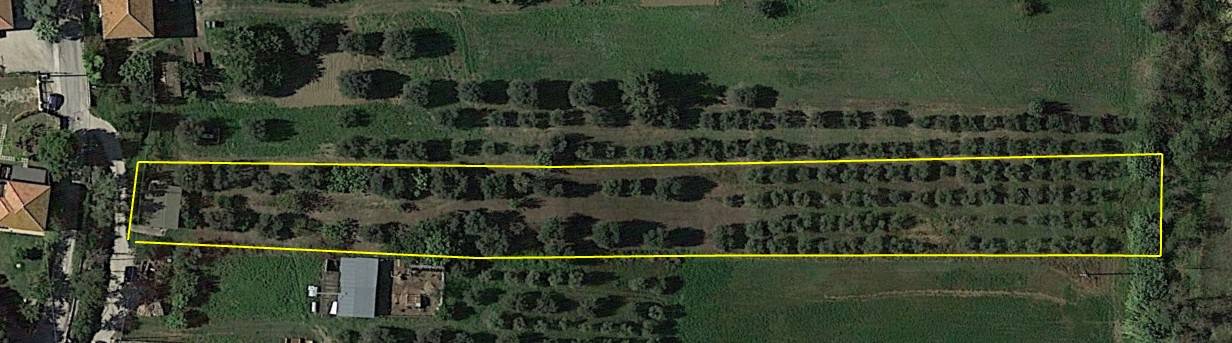 Terreno Agricolo in vendita a Roseto degli Abruzzi, Cologna Paese