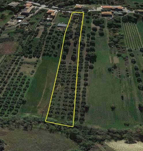 Terreno Agricolo in vendita a Roseto degli Abruzzi, Cologna Paese