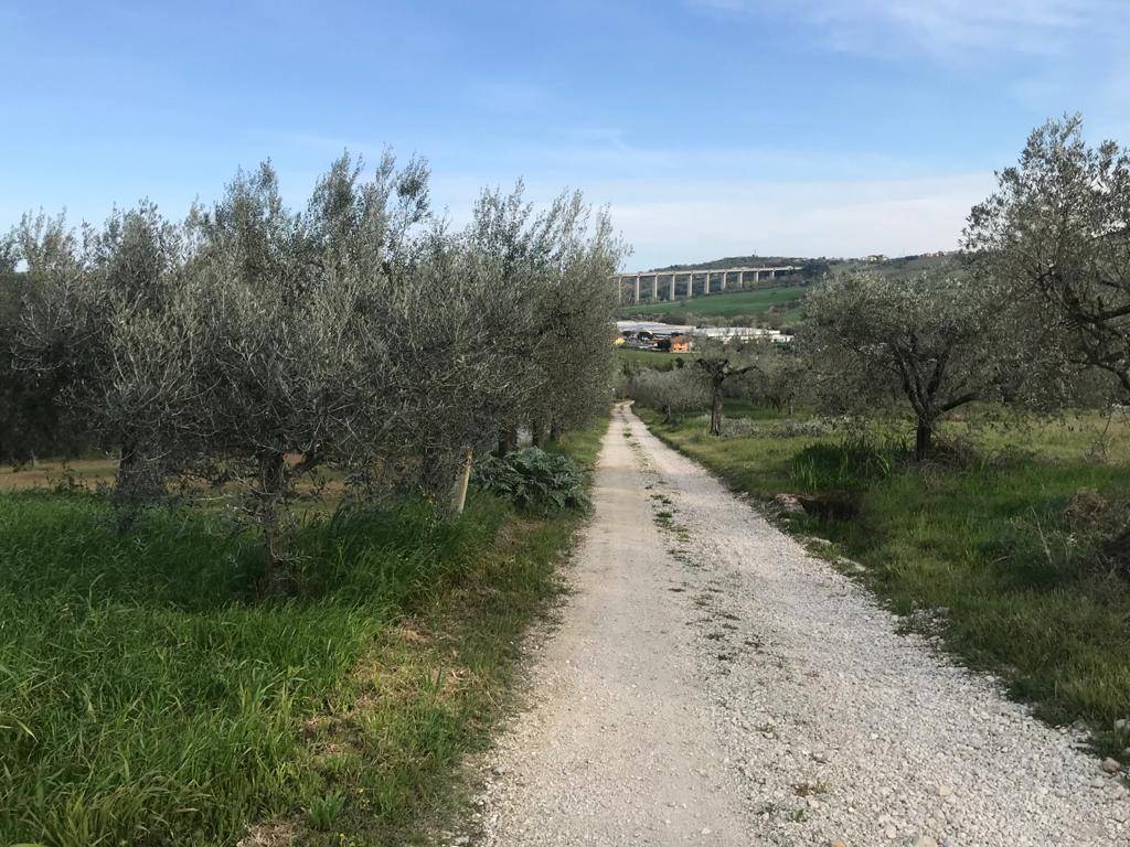 Terreno Agricolo in vendita a Tortoreto, Salino