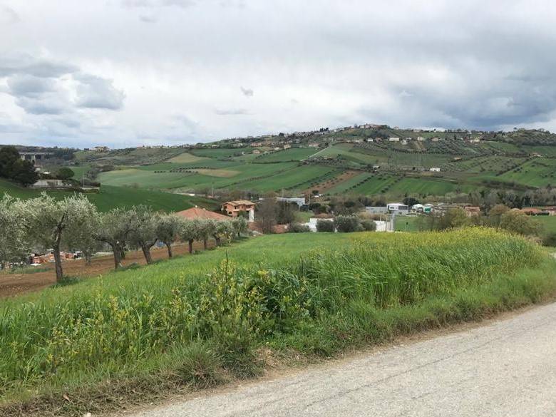 Terreno Agricolo in vendita a Tortoreto, Salino