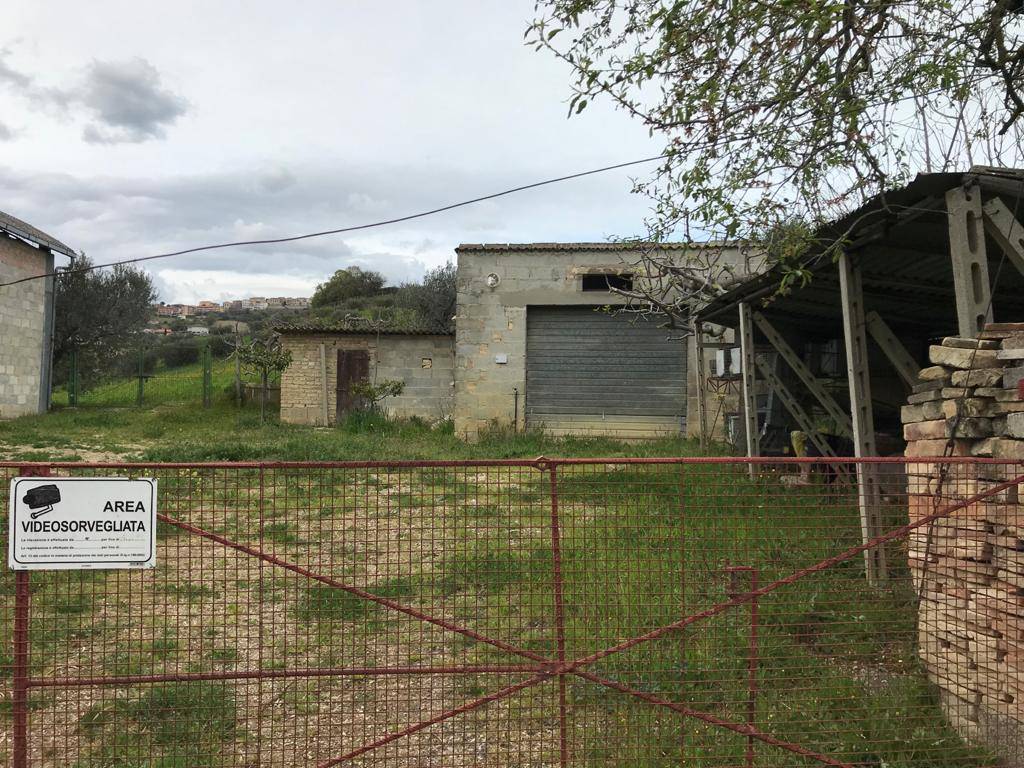 Terreno Agricolo in vendita a Tortoreto, Salino