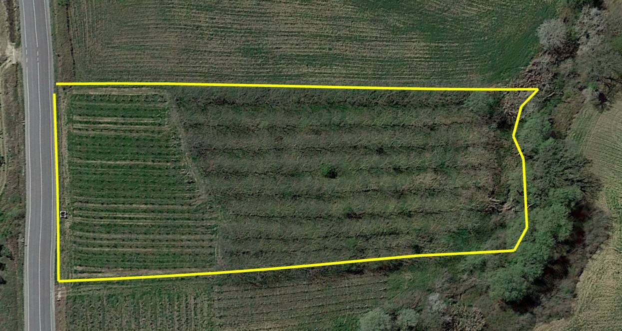 Terreno Agricolo in vendita a Scerni, fondovalle