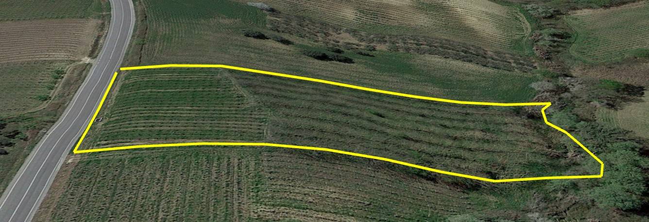 Terreno Agricolo in vendita a Scerni, fondovalle