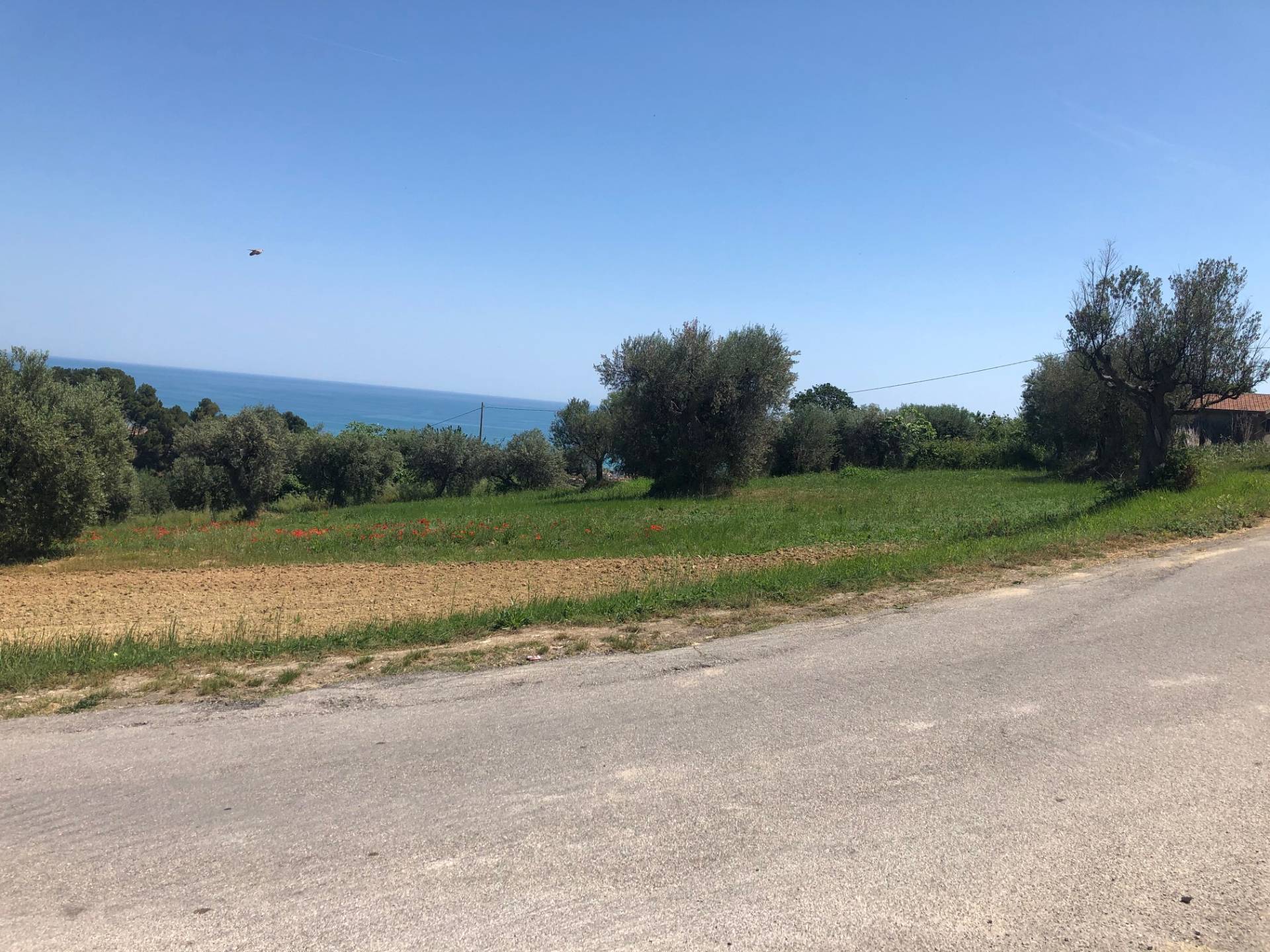 Terreno residenziale in vendita a Tortoreto, Tortoreto Alta