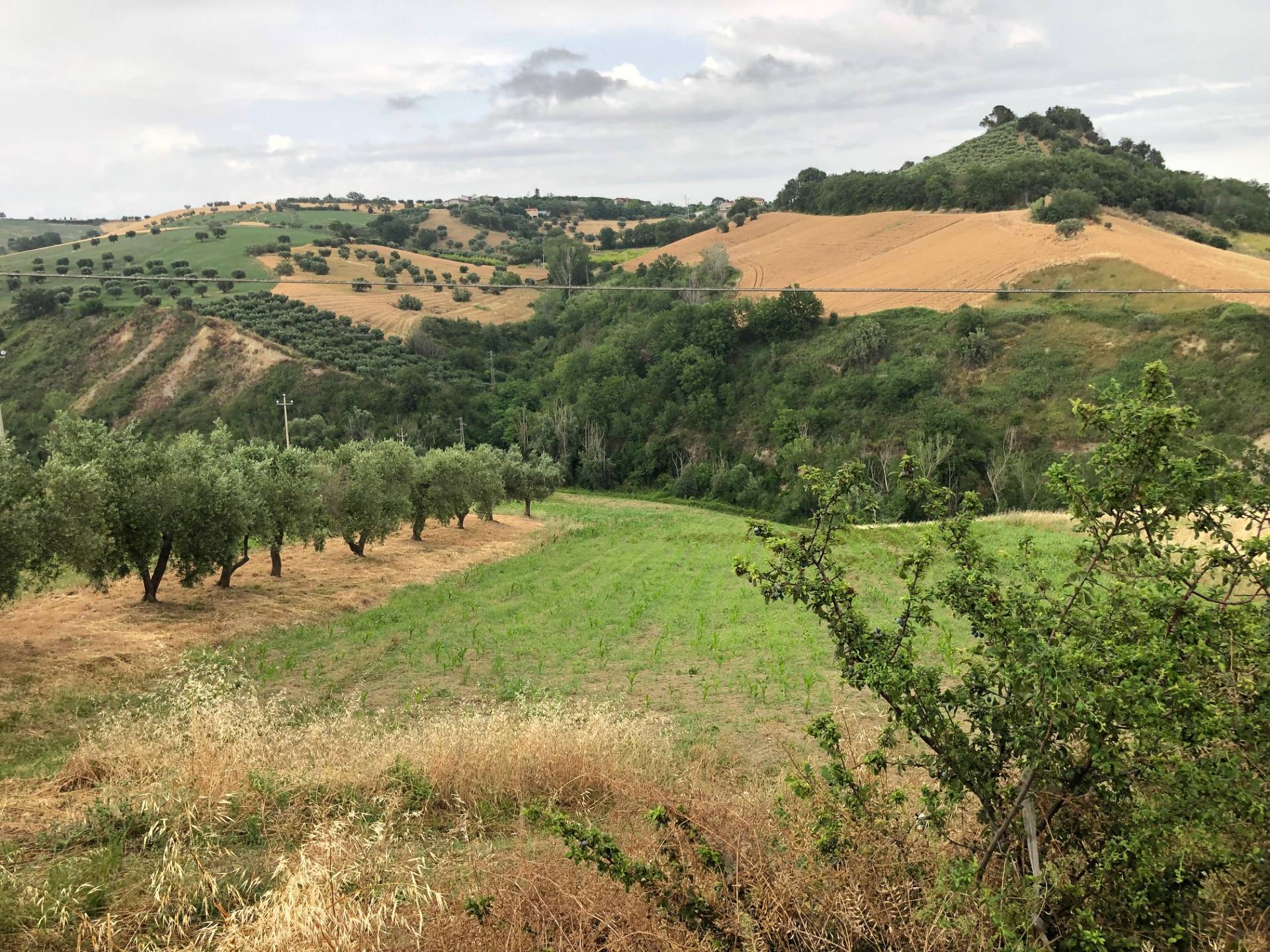 Terreno Agricolo in vendita a Bellante, San Mauro