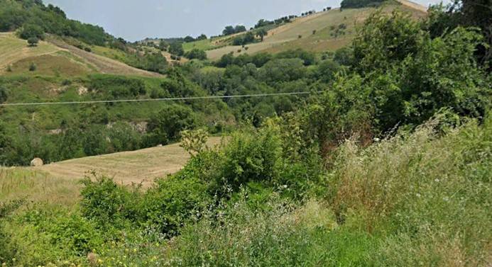 Terreno Agricolo in vendita a Bellante, San Mauro
