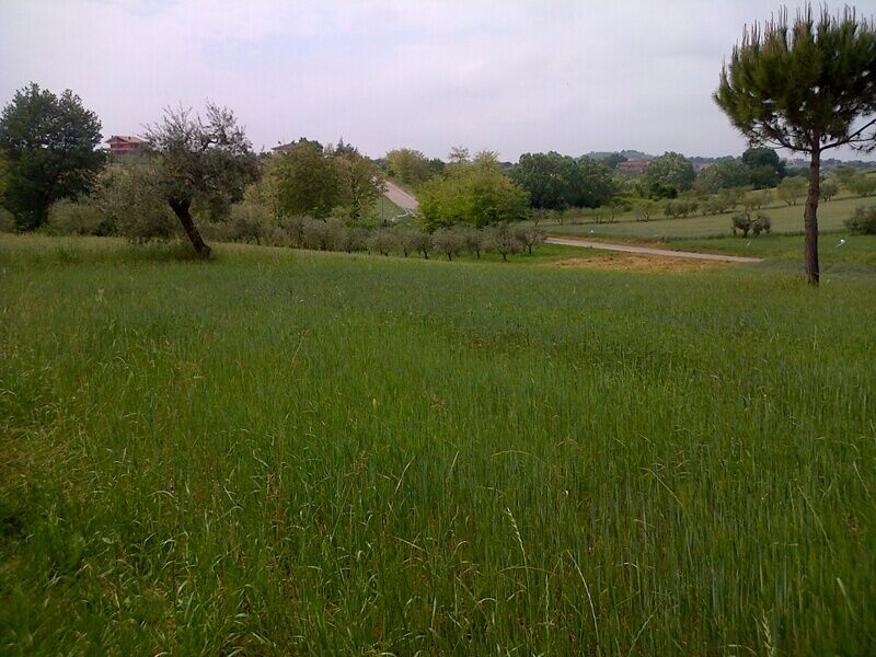 Villa in vendita a Corropoli, Bivio Corropoli