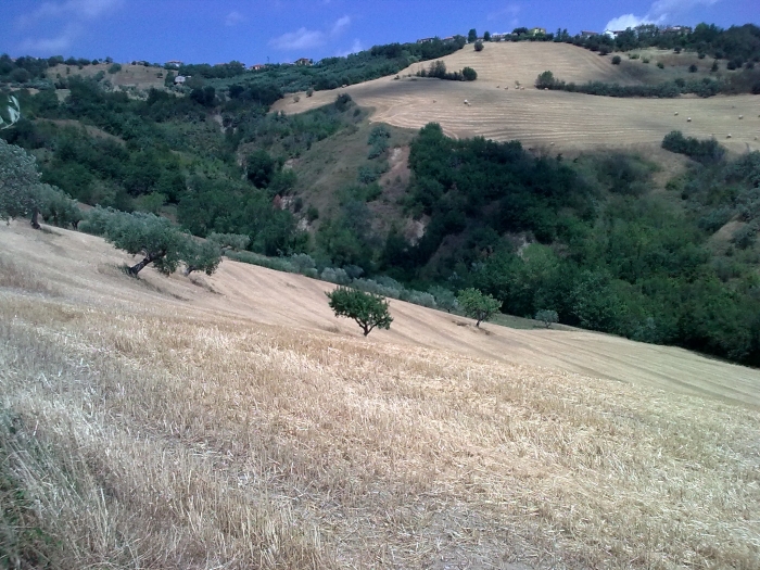 Rustico in vendita a Bellante, Penna Alta
