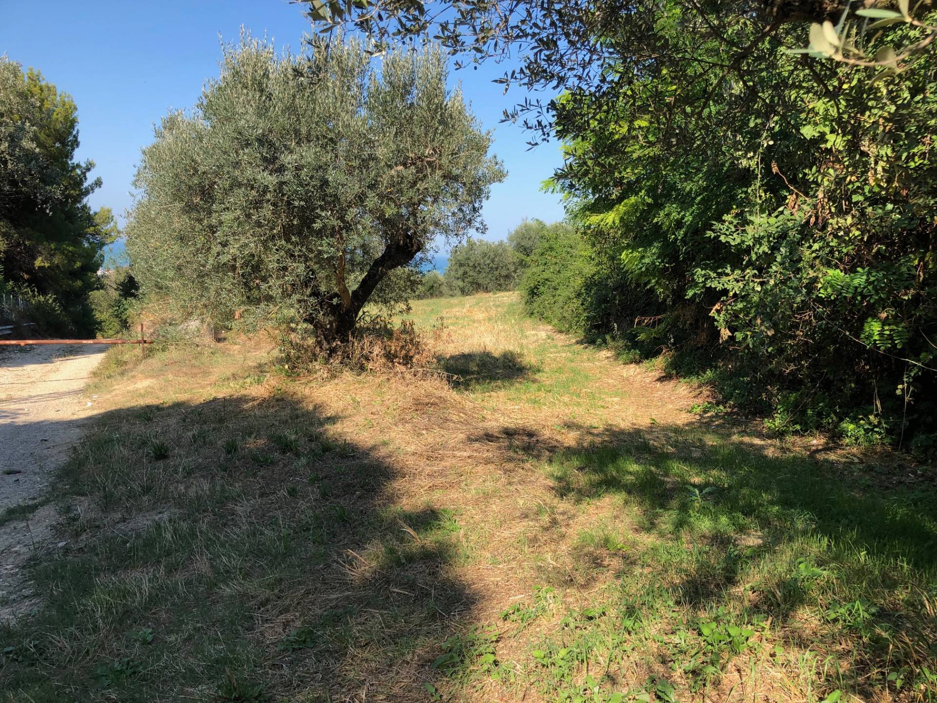 Terreno residenziale in vendita a Mosciano Sant'Angelo, Maggi