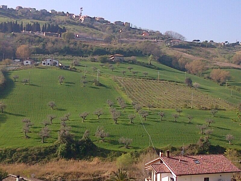 Terreno Agricolo in vendita a Silvi, Alta