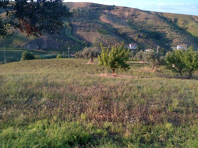 immagine annuncio 1 di 7