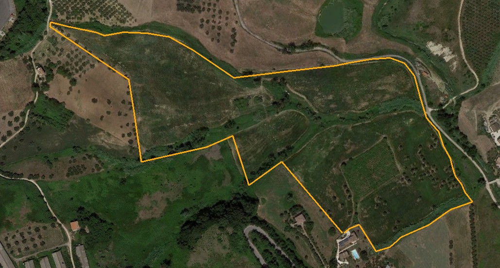 immagine annuncio 5 di 7