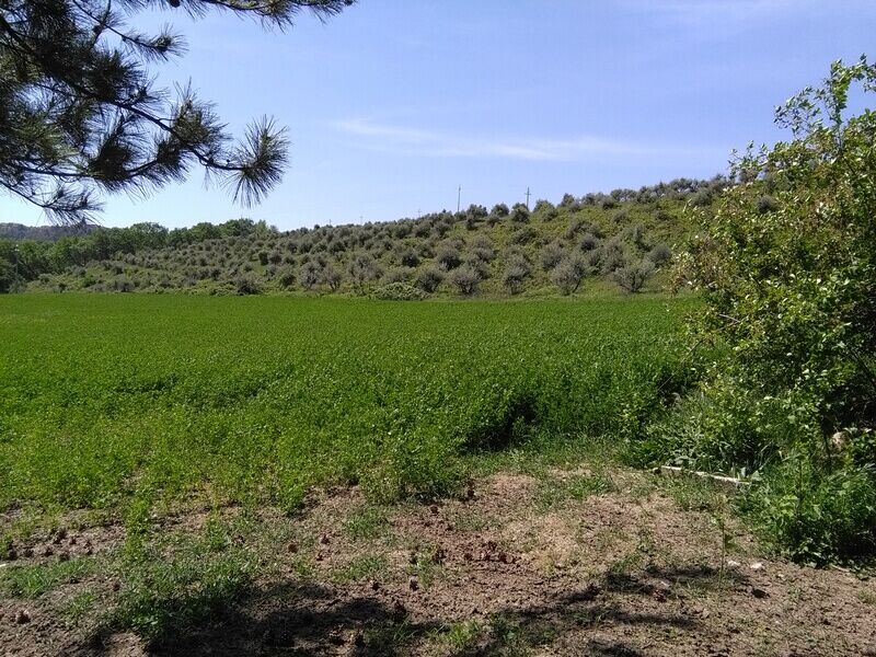 Terreno Agricolo in vendita a Bellante, Villa De Luca