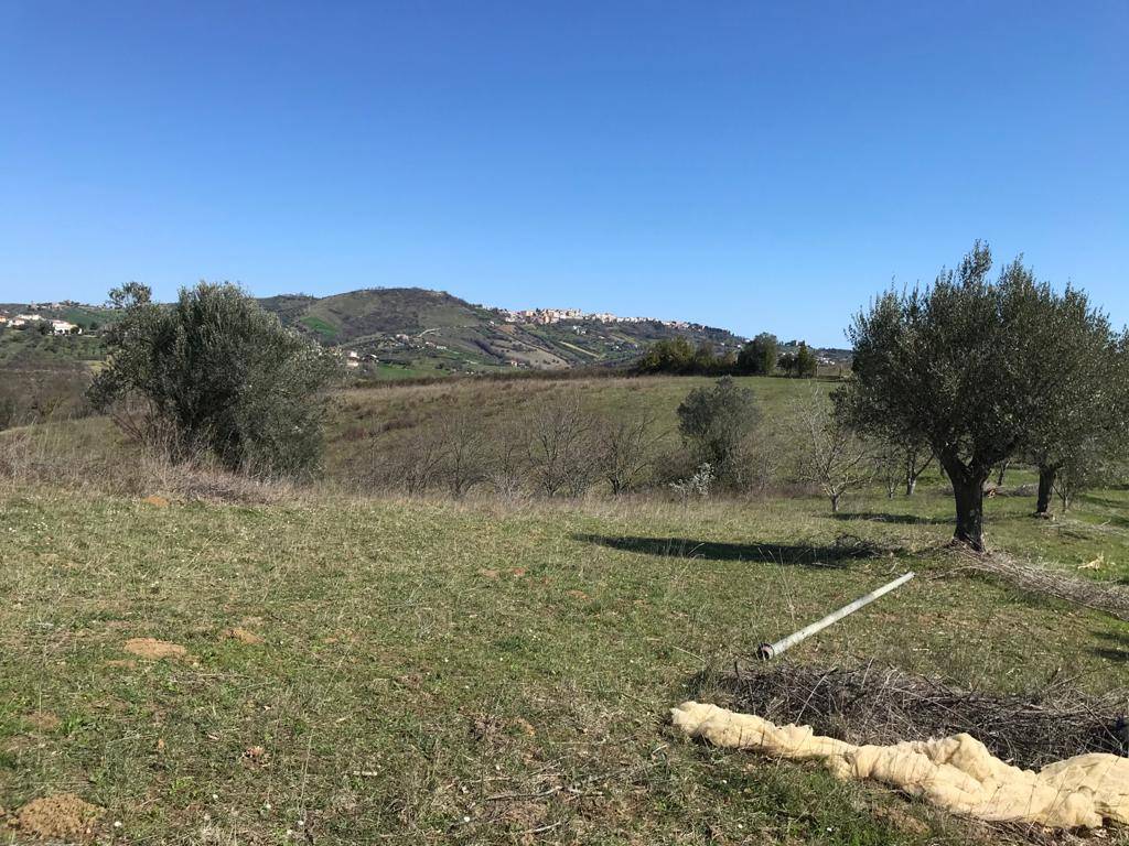 Villa in vendita a Sant'Omero, Poggio Morello