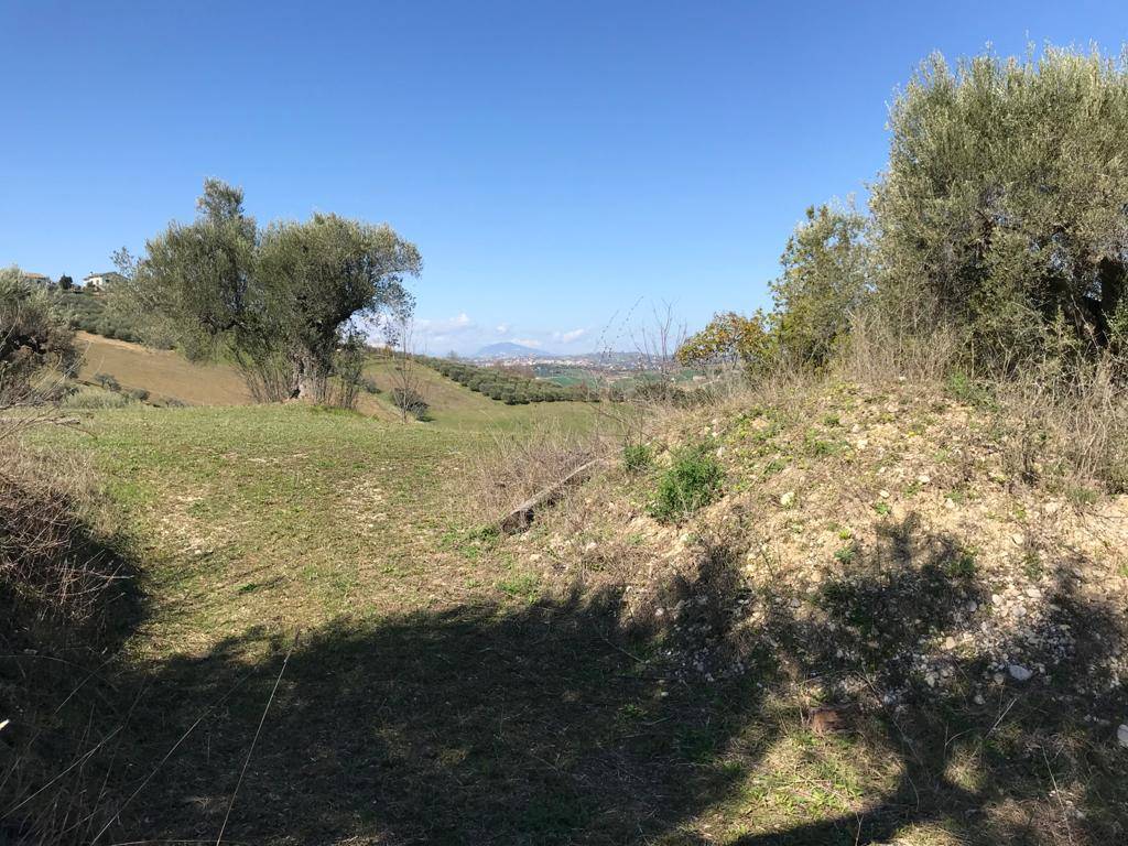 Villa in vendita a Sant'Omero, Poggio Morello