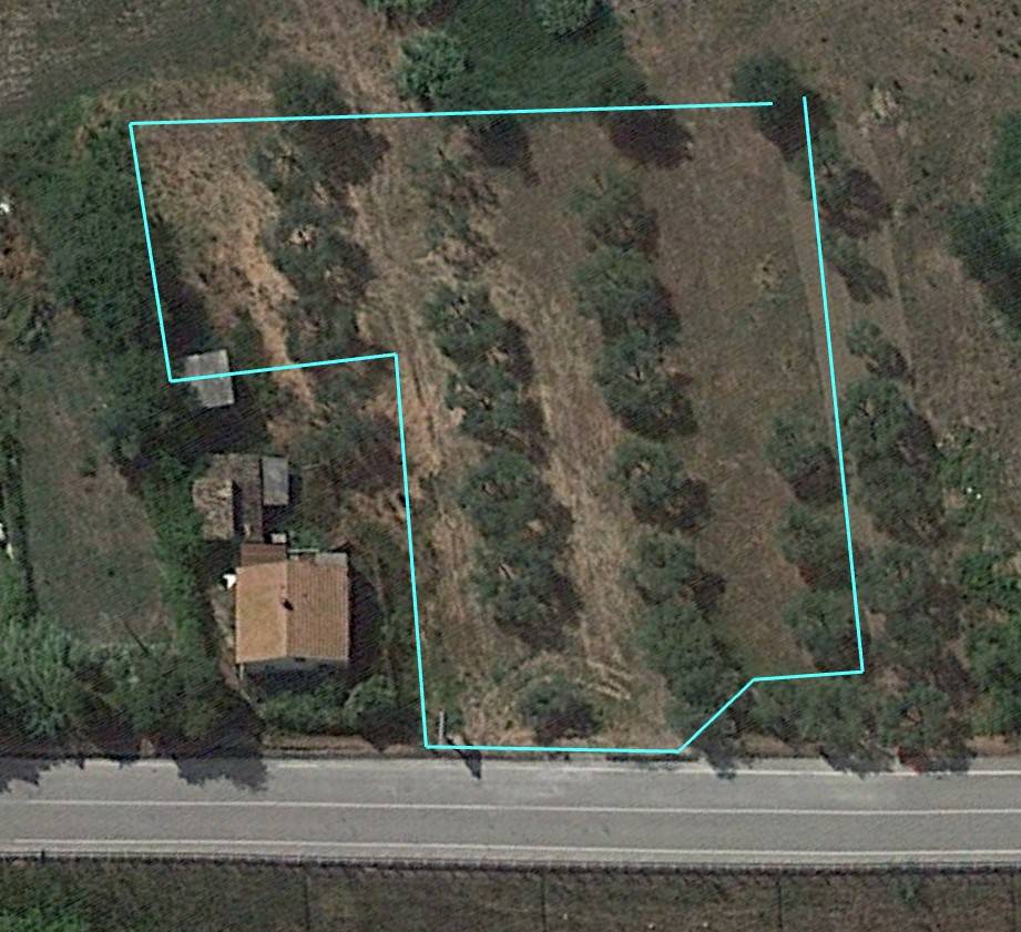 immagine annuncio 3 di 4