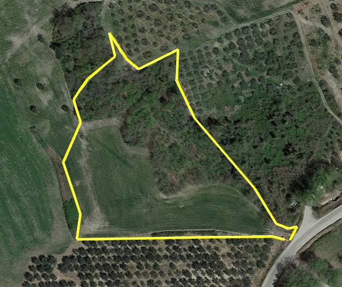 immagine annuncio 1 di 3