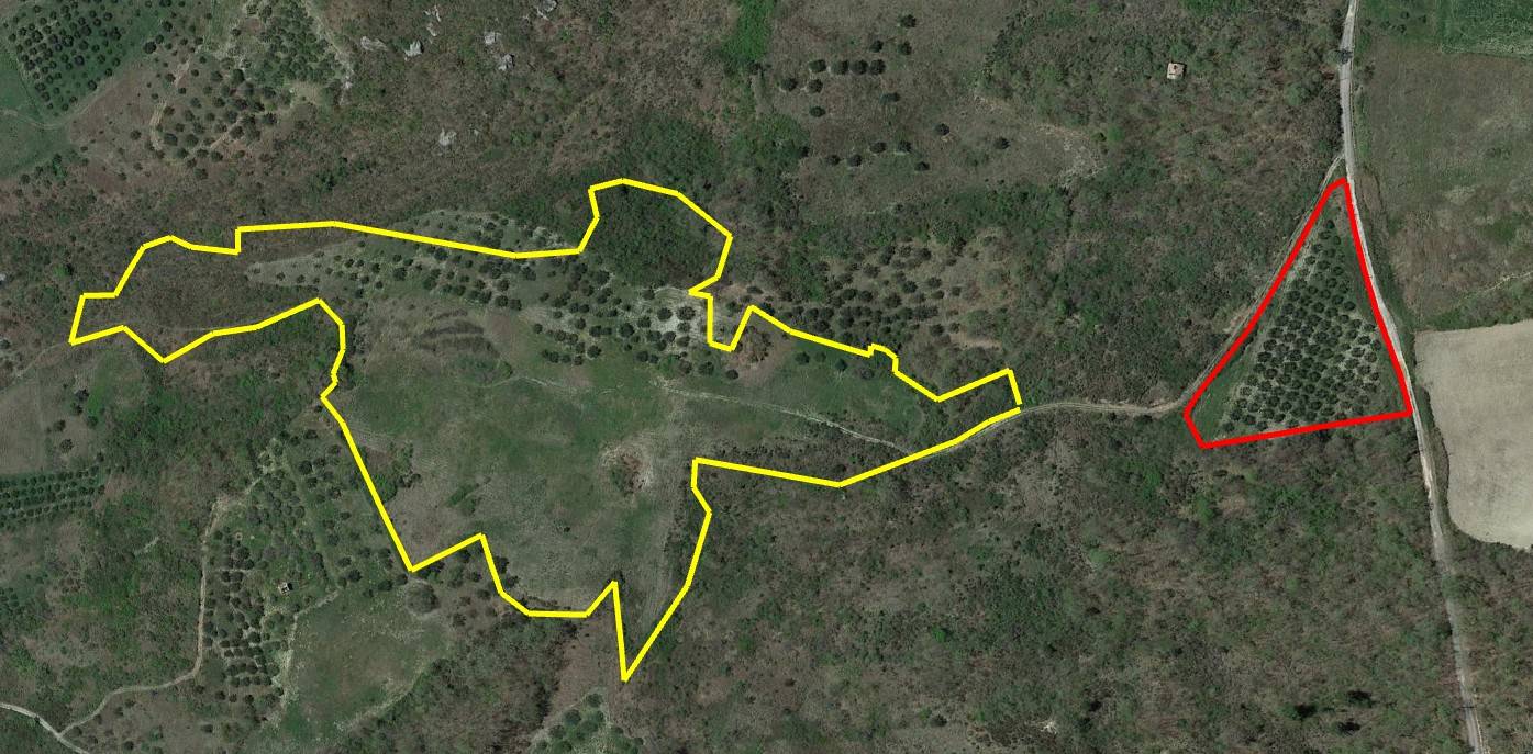 Terreno Agricolo in vendita a San Buono, Pantano