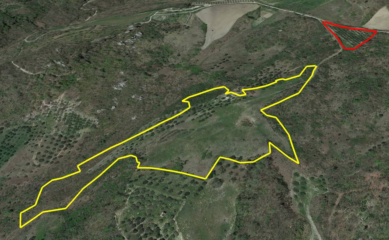 Terreno Agricolo in vendita a San Buono, Pantano