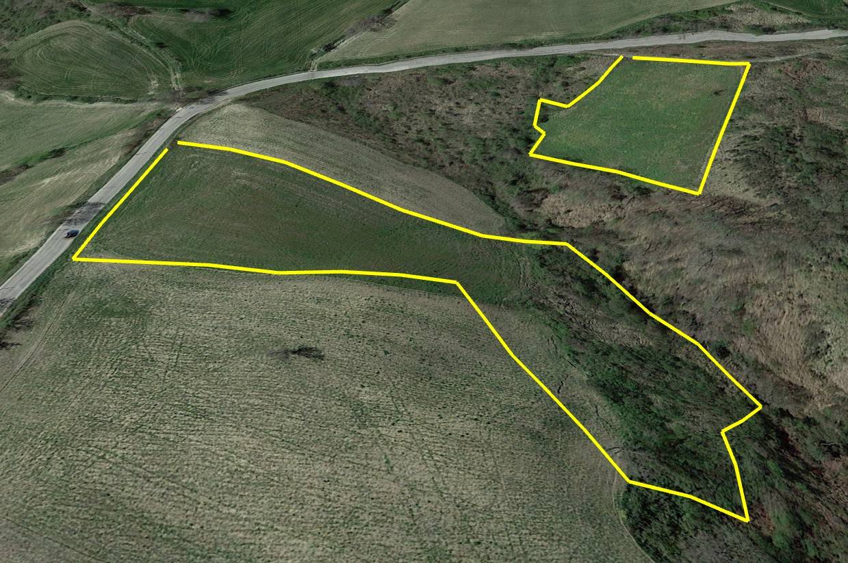 Terreno Agricolo in vendita a San Buono, Cantarelli