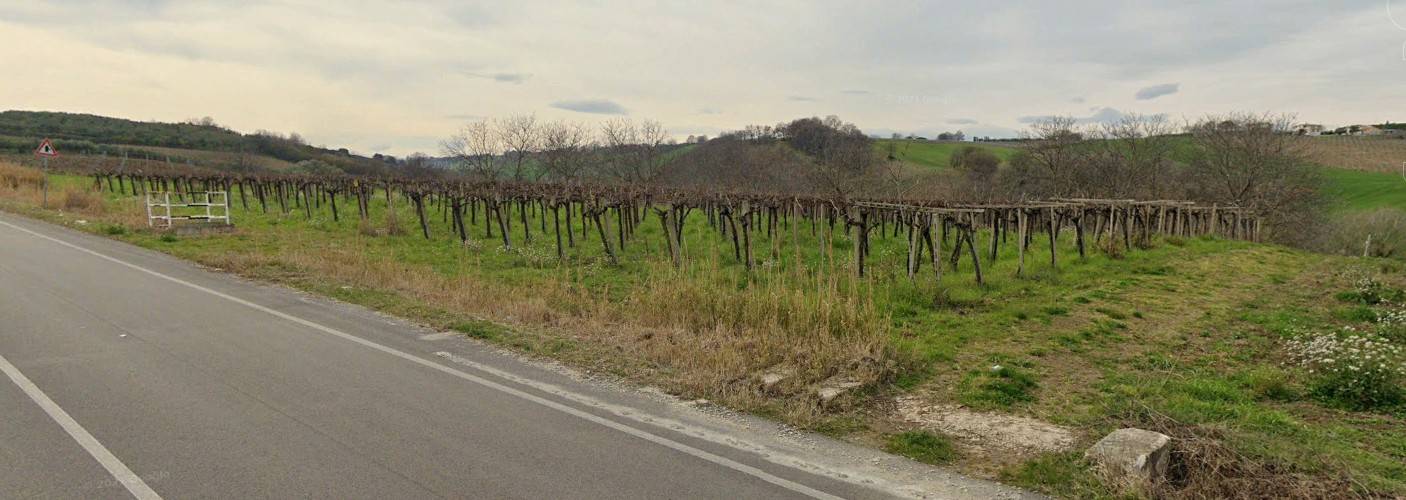 Terreno Agricolo in vendita a Scerni, fondovalle