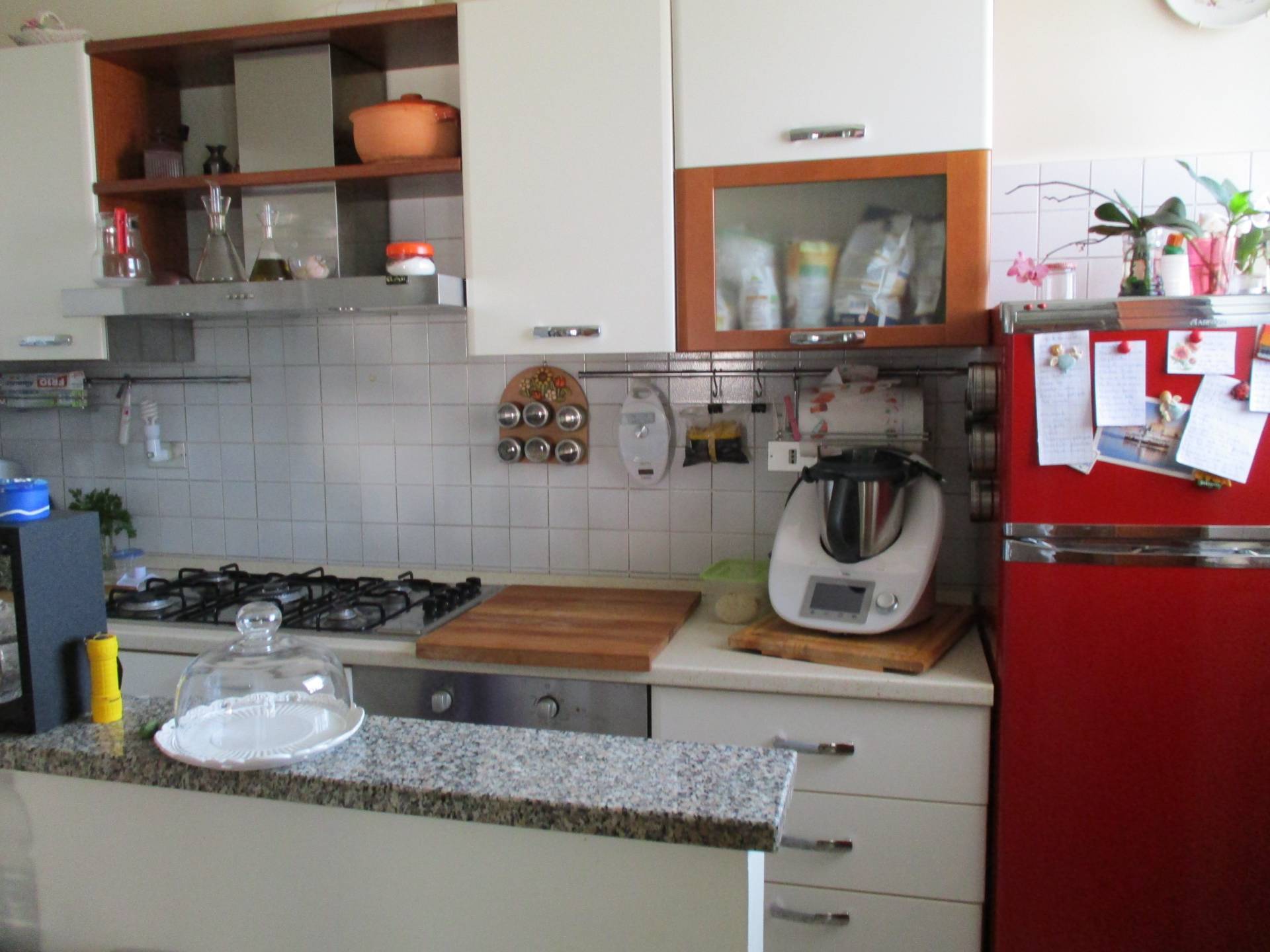 Appartamento in vendita a Morro d'Oro, Pagliare