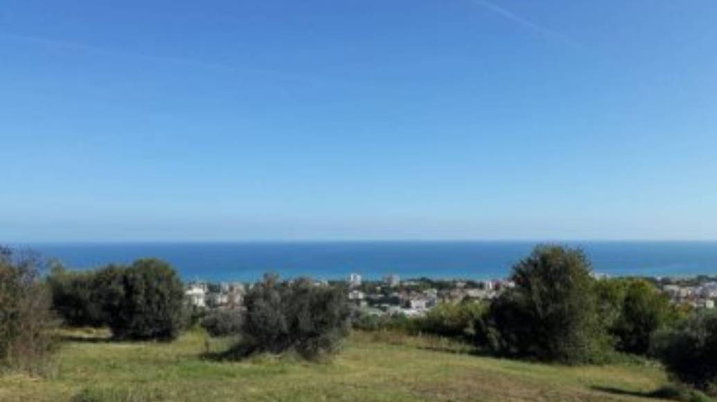 Terreno Agricolo in vendita a Giulianova, Alta