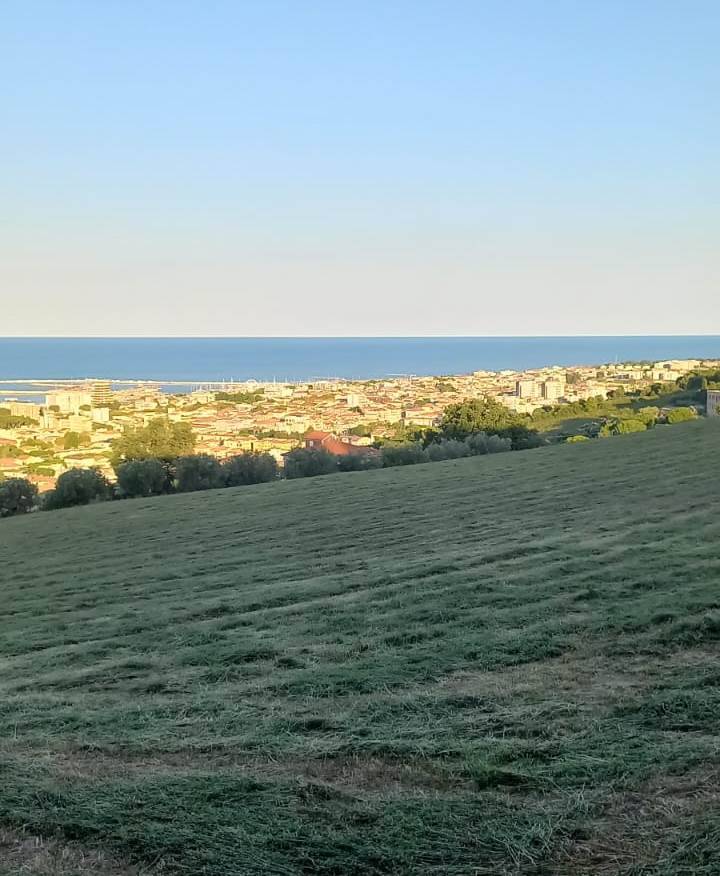 Terreno Agricolo in vendita a Giulianova, Alta