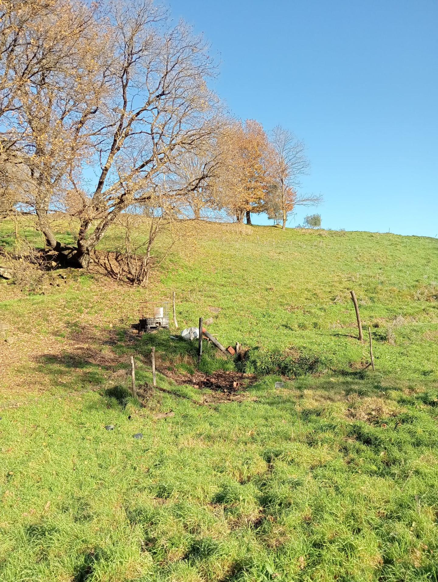 Terreno Agricolo in vendita a Lastra a Signa