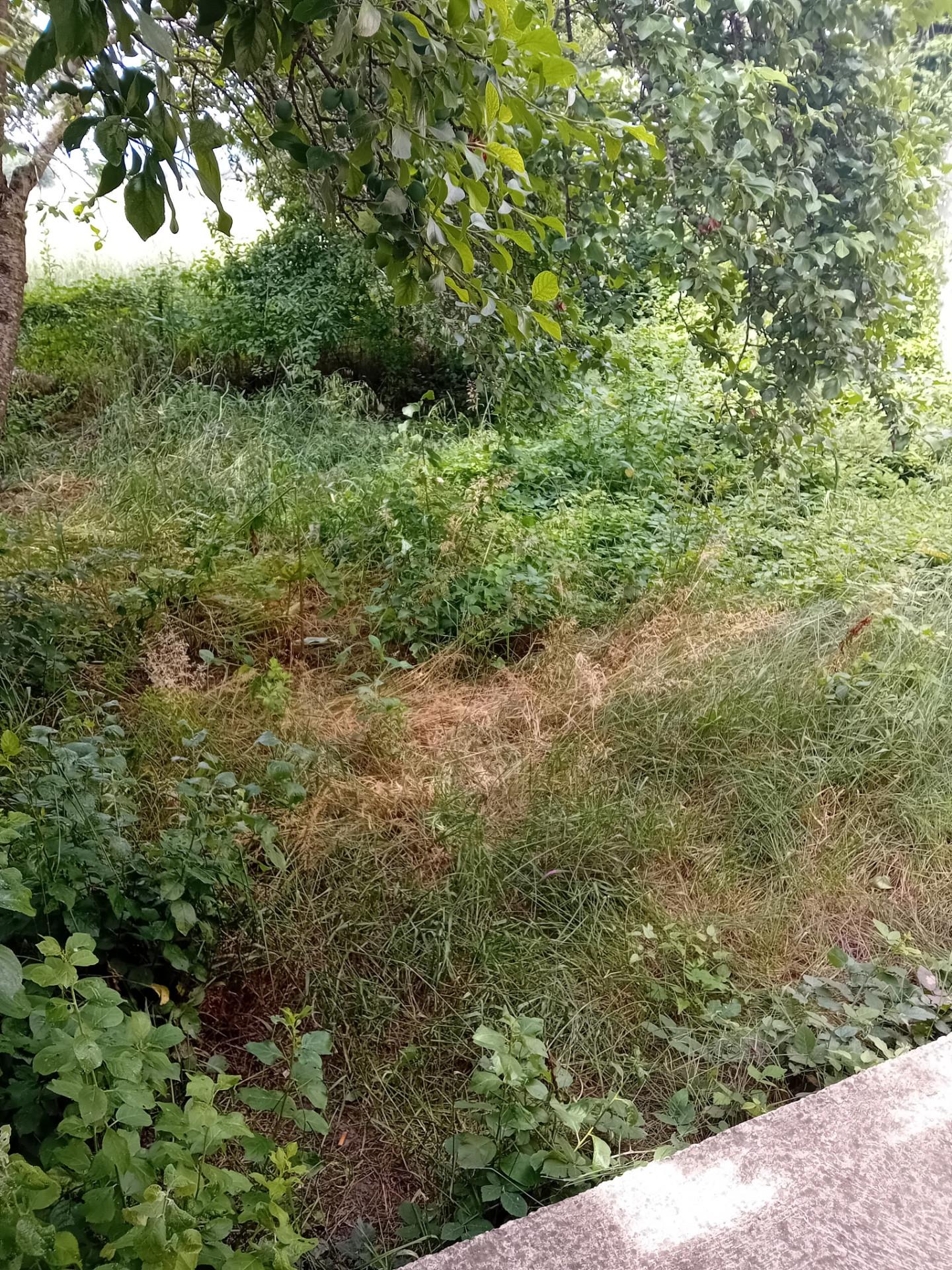 Capannone in affitto, Prato fontanelle