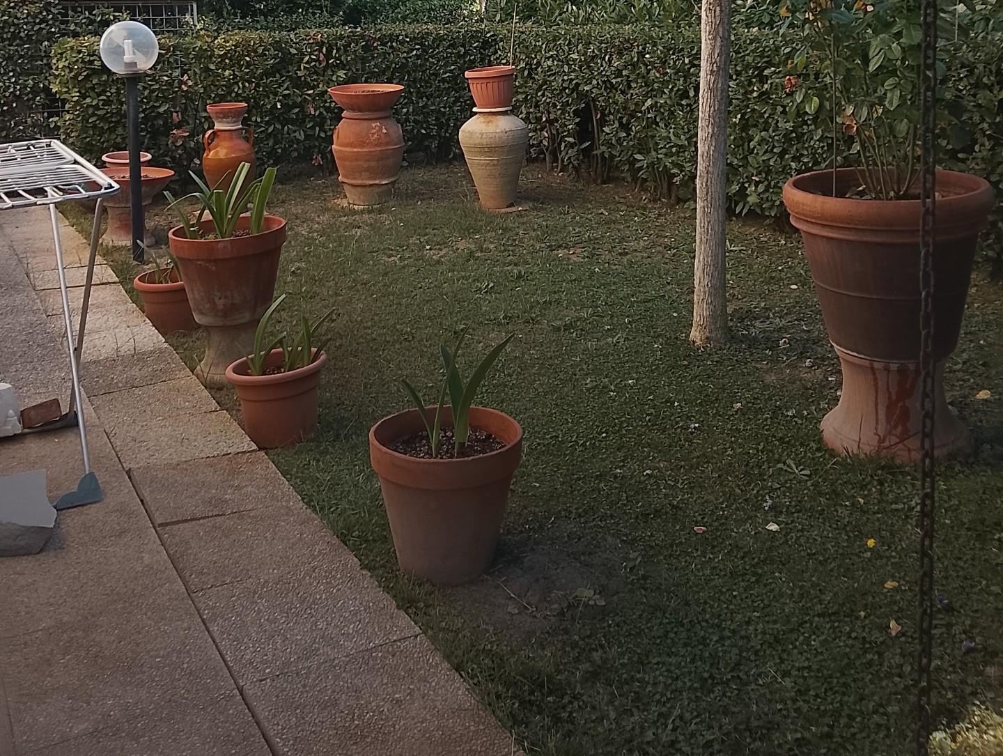 Quadrilocale con giardino a Poggio a Caiano