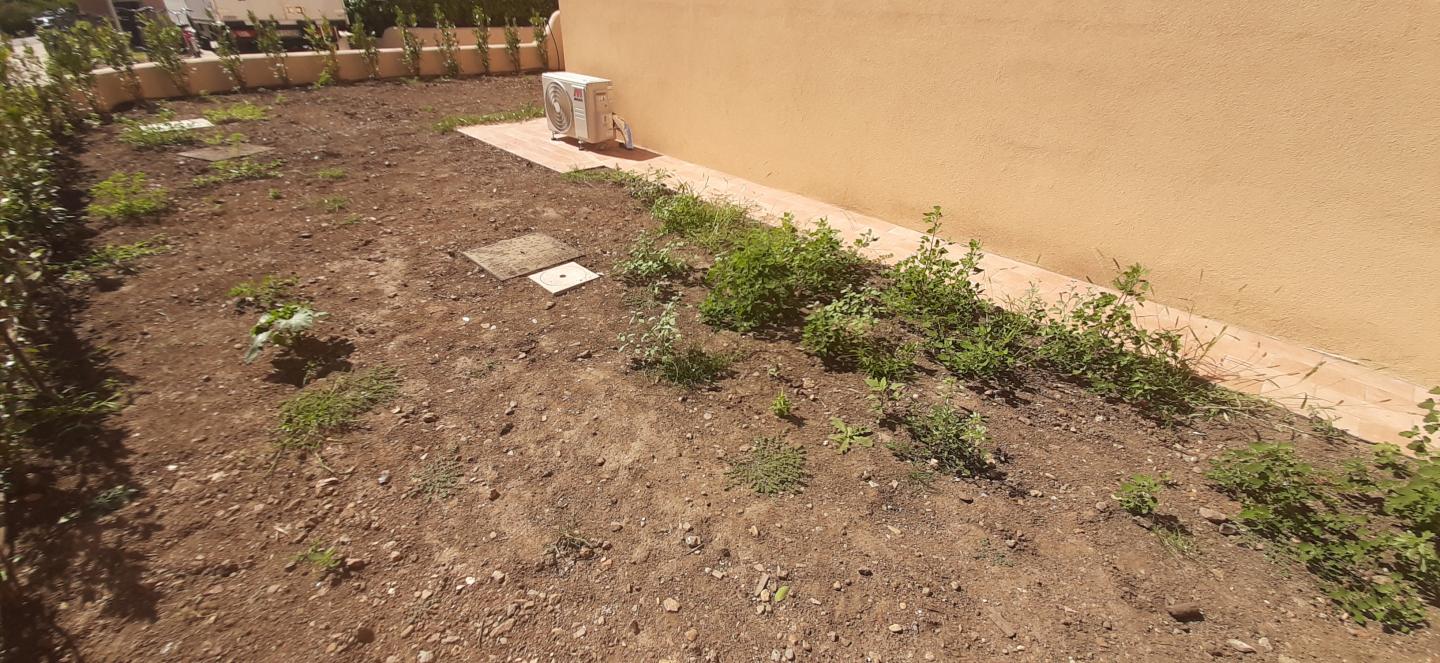 Bilocale con giardino, Rosignano Marittimo vada