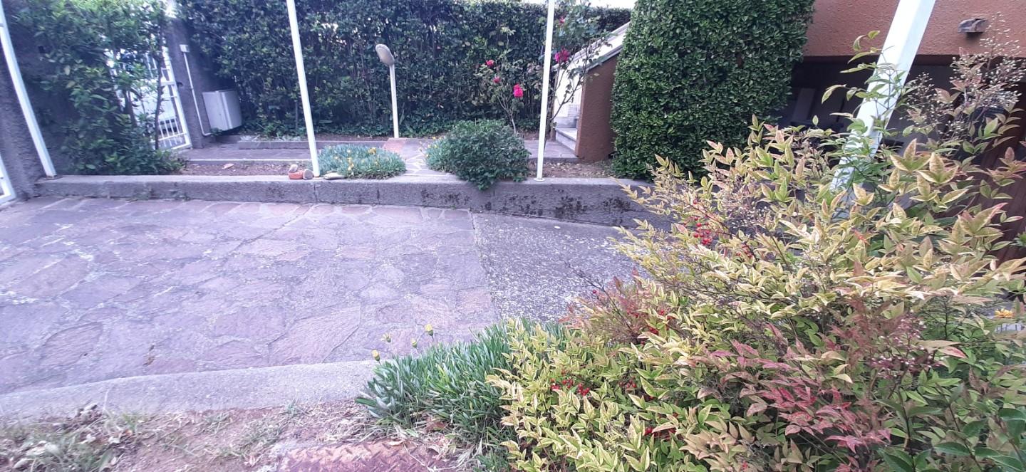 Quadrilocale con giardino, Rosignano Marittimo rosignano solvay