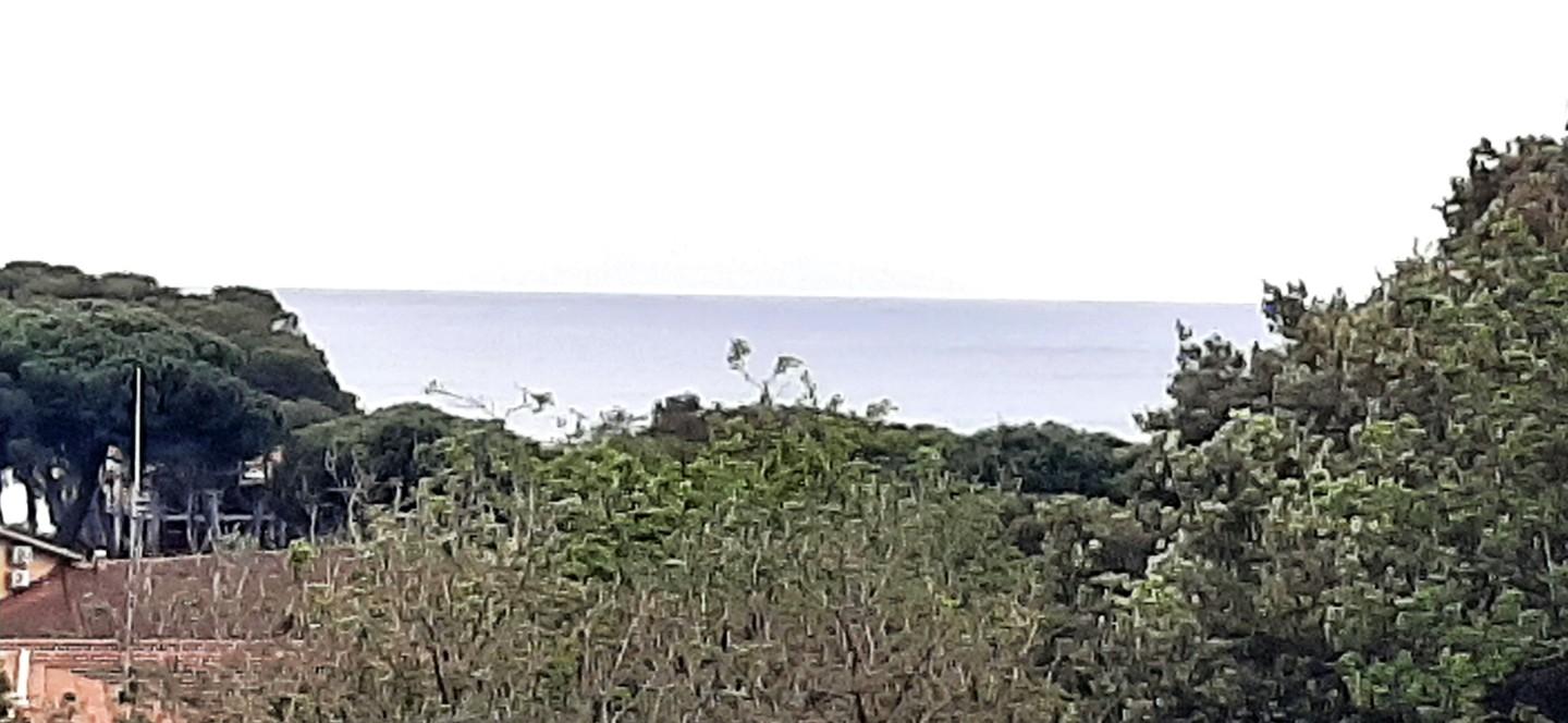 Quadrilocale con giardino, Rosignano Marittimo castiglioncello