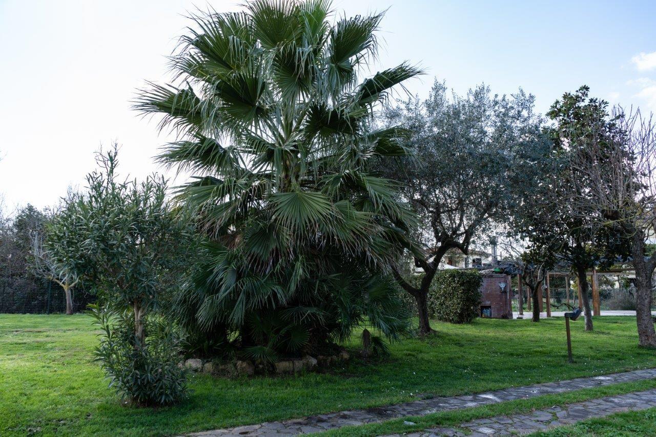 Casa indipendente con giardino, Pisa barbaricina