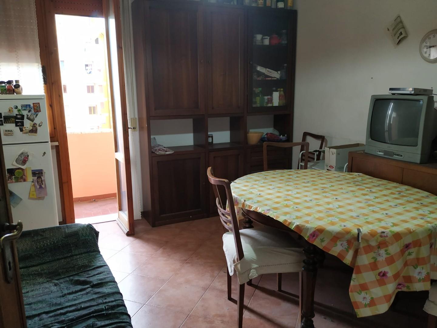 Stanza Singola in affitto, Pisa pratale