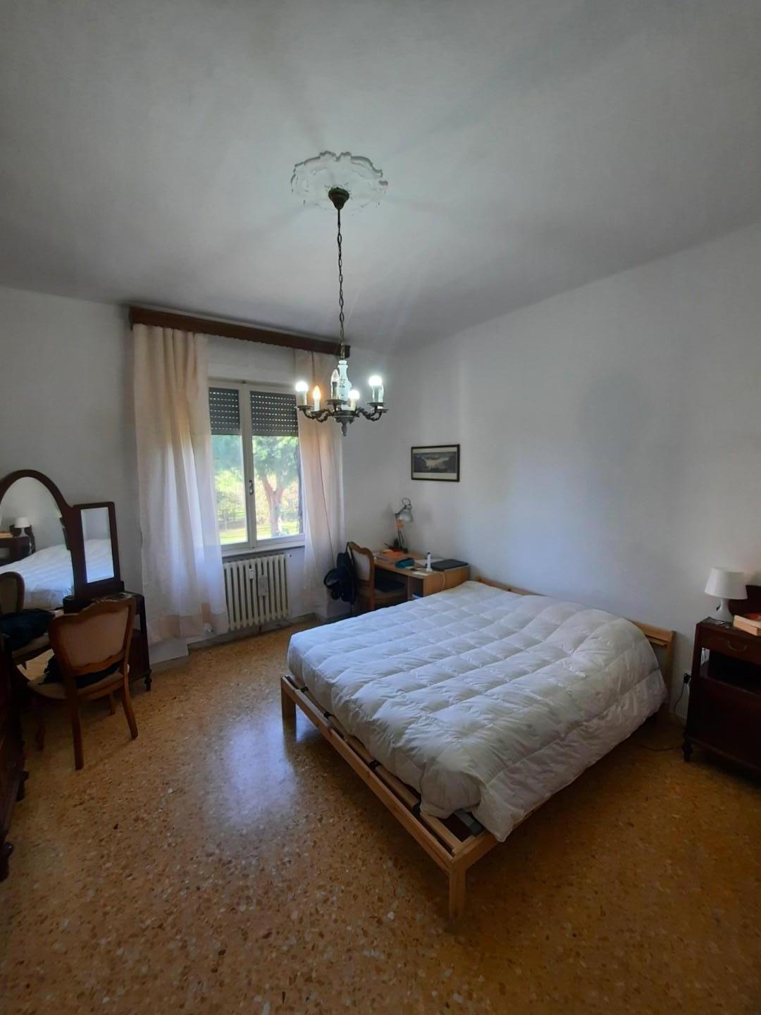 Stanza Singola in affitto, Pisa cep