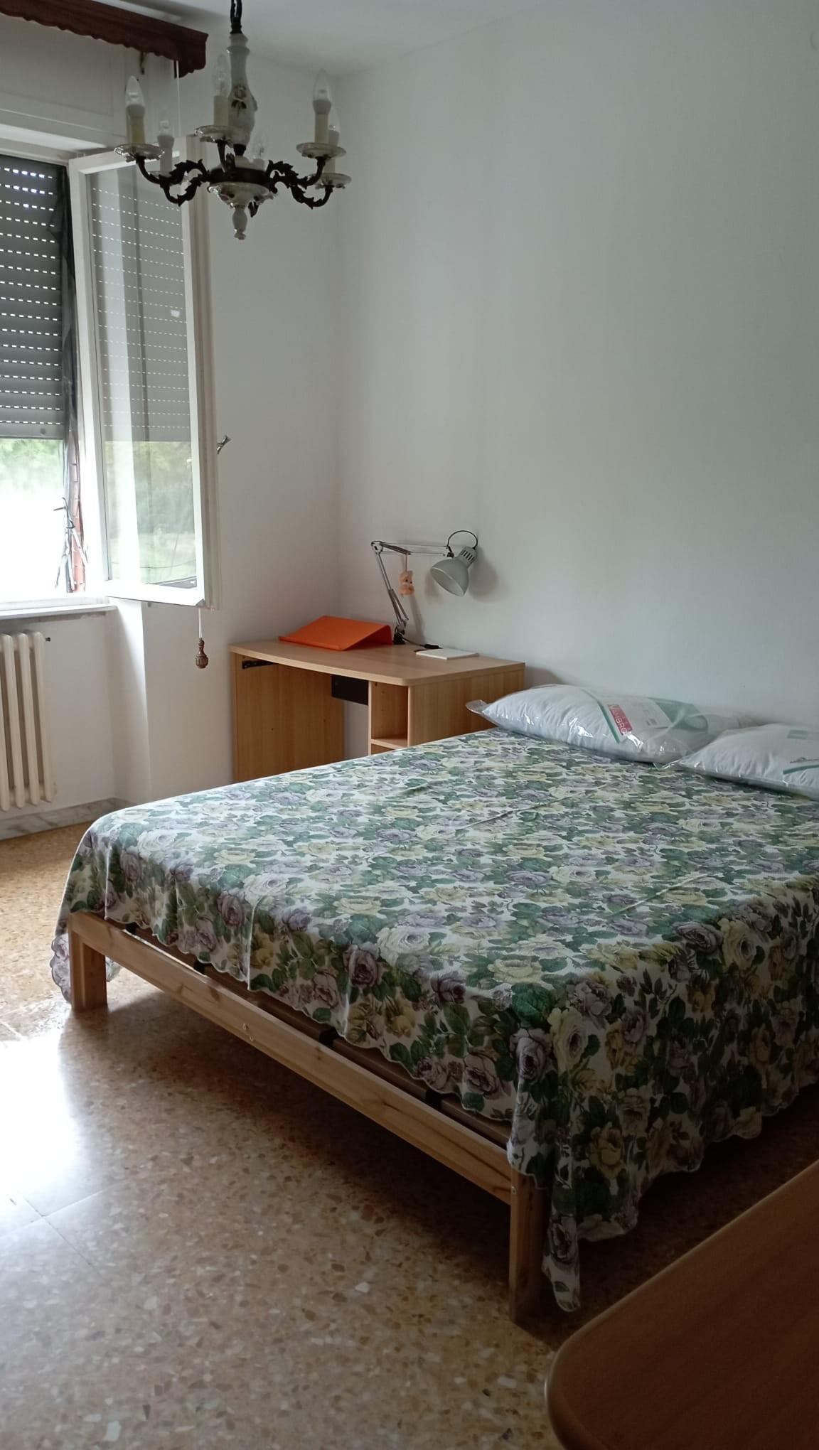 Stanza Singola in affitto, Pisa cep