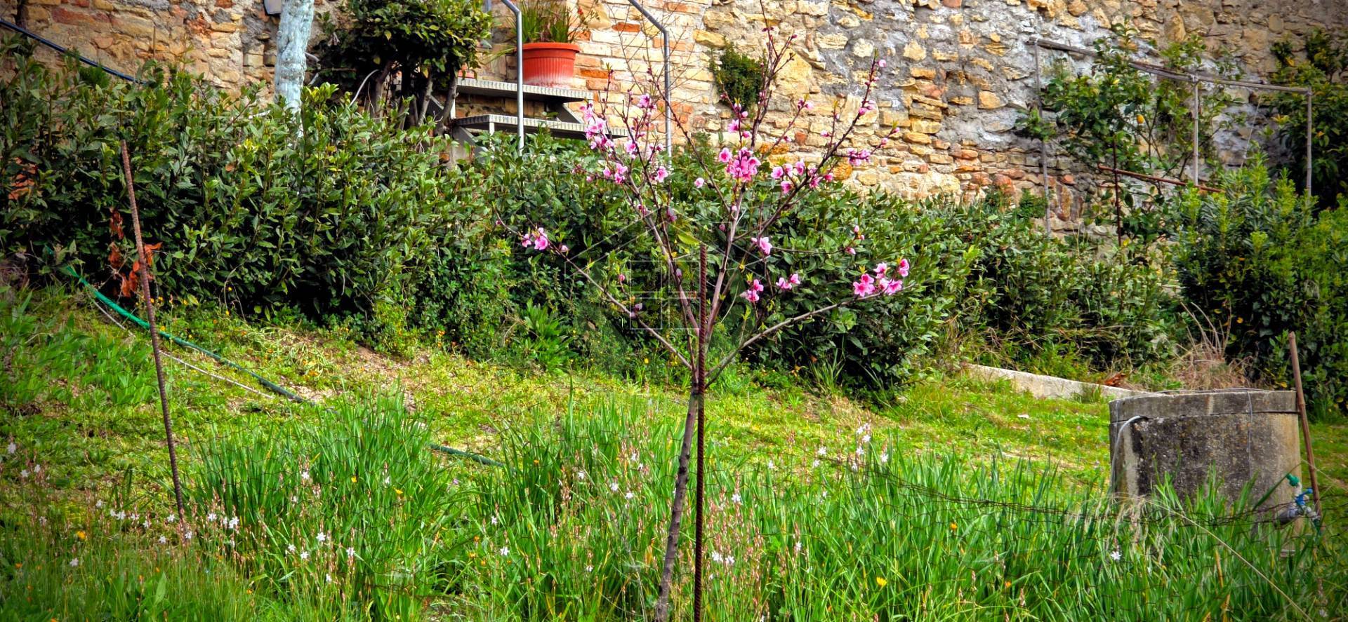 Terreno edificabile in vendita a Campofilone