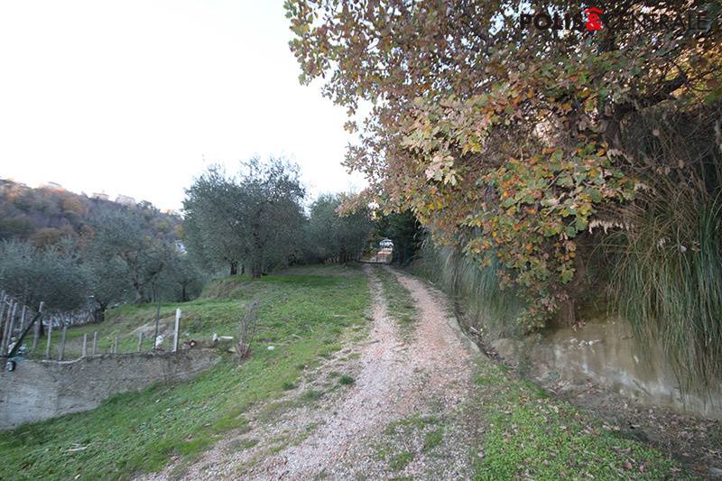 Terreno Agricolo in vendita a Venarotta