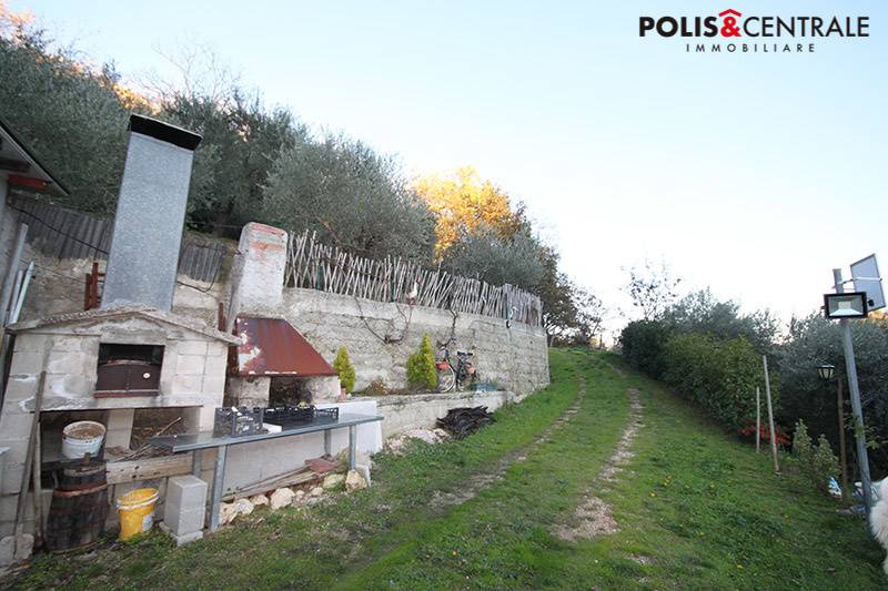 Terreno Agricolo in vendita a Venarotta